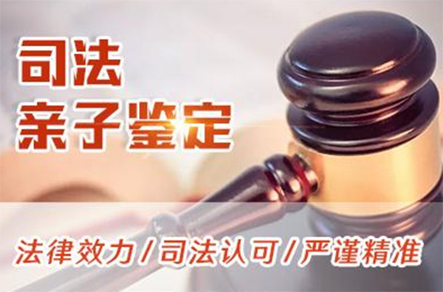 嘉峪关司法亲子鉴定如何做,嘉峪关司法亲子鉴定收费标准是多少